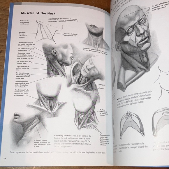 Lifelike Heads Drawing Guide - Blue and White - Picture 10 of 15